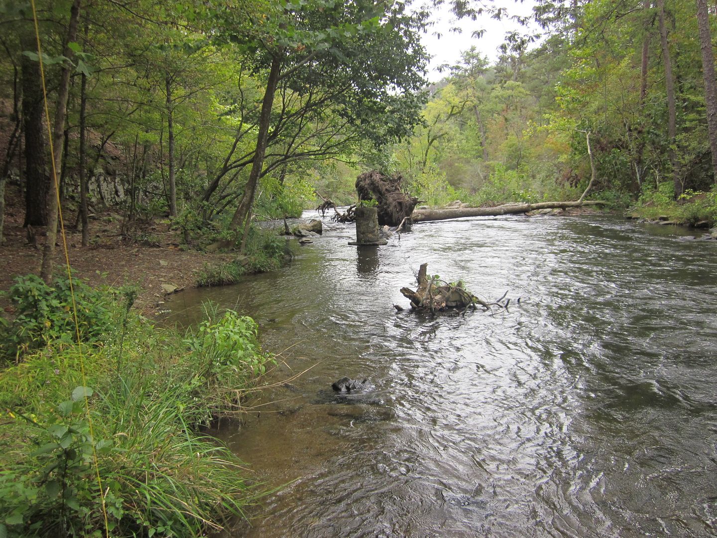 Lower Mt Fork River Broken Bow,OK Trout Fishing Report With Pics